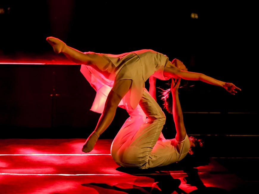 Artistas muestran varias técnicas difíciles (Fuente: Vietnamplus)