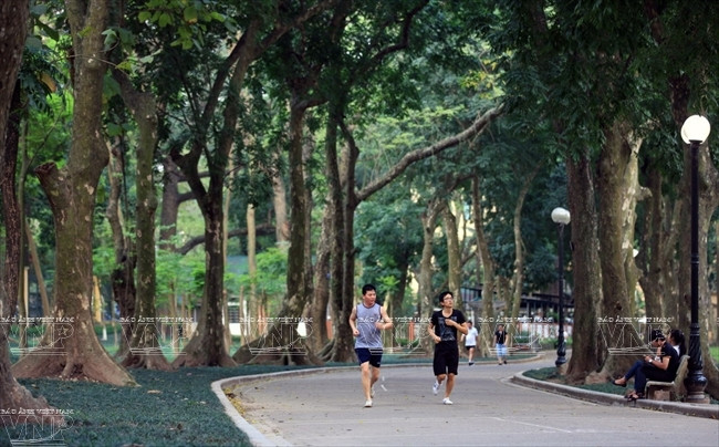 Pobladores hacen ejercicios bajo las sombras. (Fuente: VNA)