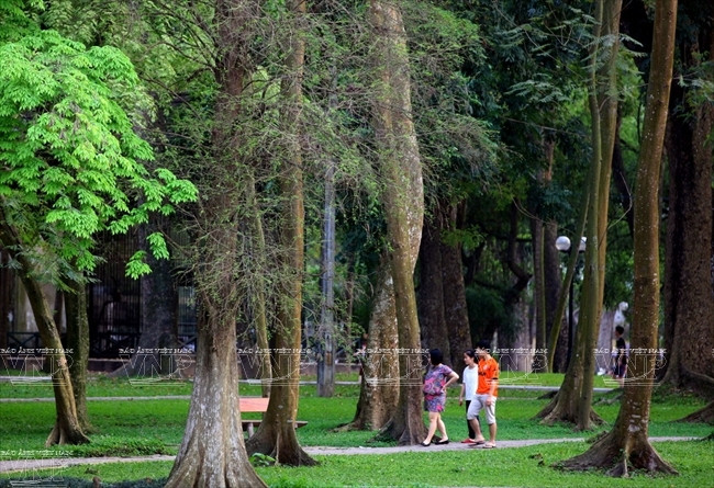 Residentes capitalinos pasean por el Jardín Botánico por la mañana. (Fuente: VNA)