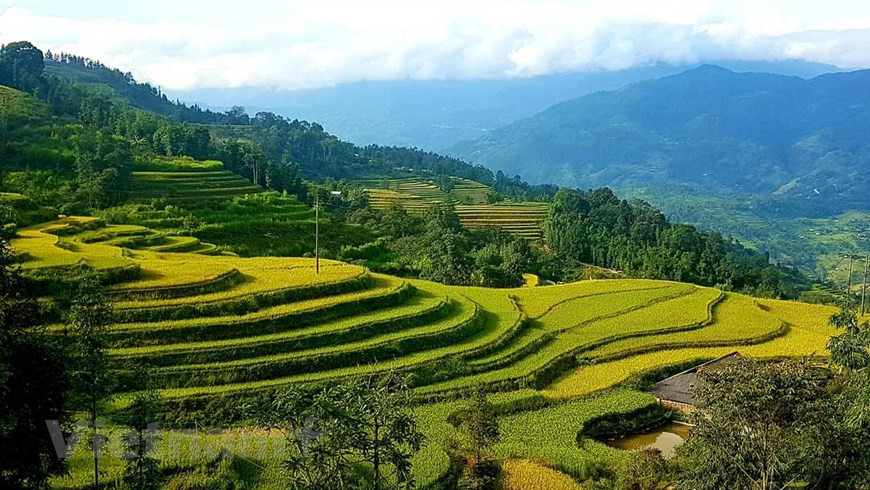 Hoang Su Phi es un distrito montañoso fronterizo ubicado al oeste de la provincia de Ha Giang. Este lugar es también una tierra donde viven muchas etnias minóricas como Dao, Mong, La Chi, Tay y Nung, entre otras. (Foto de VNA)