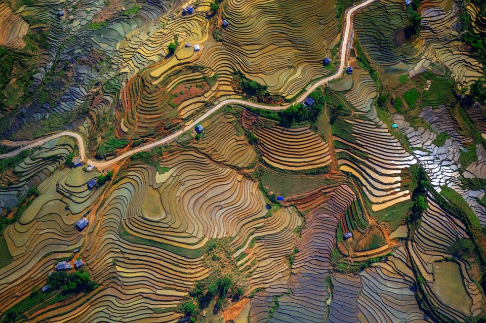 “Colores de campos con terrazas arrozales” es la obra del autor Nguyen Tan Tuan. (Fuente: vnexpress.net)