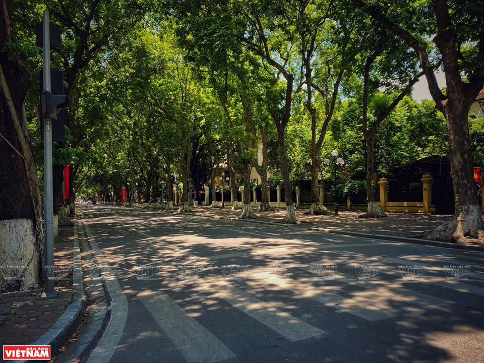 La calle de Phan Dinh Phung en la época del distanciamiento social. (Fuente: VNA)