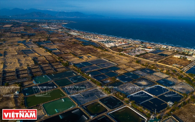 En el camino que atraviesa la aldea de Son Hai, en la comuna de Phuoc Dinh, distrito de Thuan Nam,los turistas contemplan zonas de cría de camarones en el desierto.(Foto: VNA)