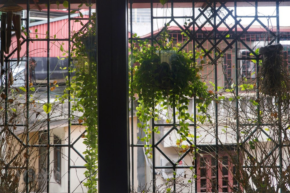 Las villas o palacios franceses siempre dan prioridad a las plantaciones verdes en aras de ajustar la temperatura interior. (Fuente: VNA)