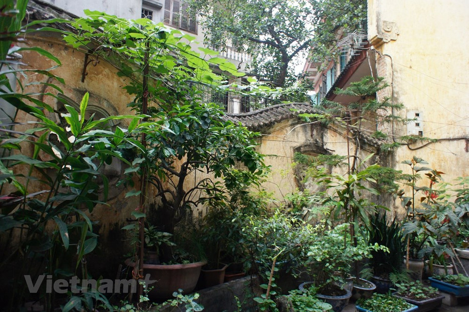 El área cercana a la entrada de la mansión fue el jardín real con una extensión de 300 metros cuadrados. La arquitectura francesa se combina con los detalles arquitectónicos típicos de Asia Oriental, especialmente la forma del dragón que se curva en las paredes y techo del Palacio. (Fuente: VNA)