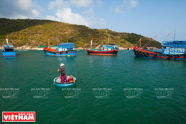 Pescadores se preparan para pescar en el muelle de Vinh Hy. (Foto: VNA)