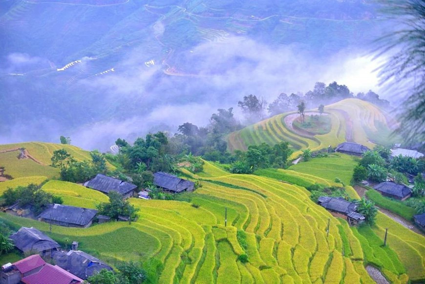 Además de los destinos turísticos conocidos como Y Ty, Sa Pa o Mu Cang Chai, Hoang Su Phi también es un lugar que vale la pena explorar. (Foto de VNA)