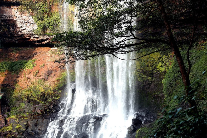 La cascada se encuentra en el área ecoturística de Dambri.