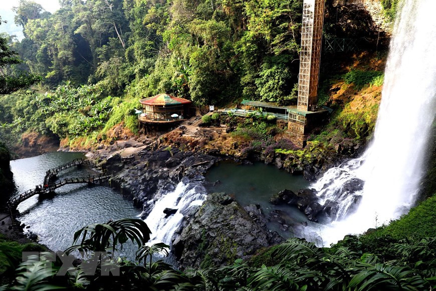 Alrededor de la cascada Dambri hay una cubierta vegetal rica y diversa con coloridas flores que florecen durante todo el año. (Foto: VNA)