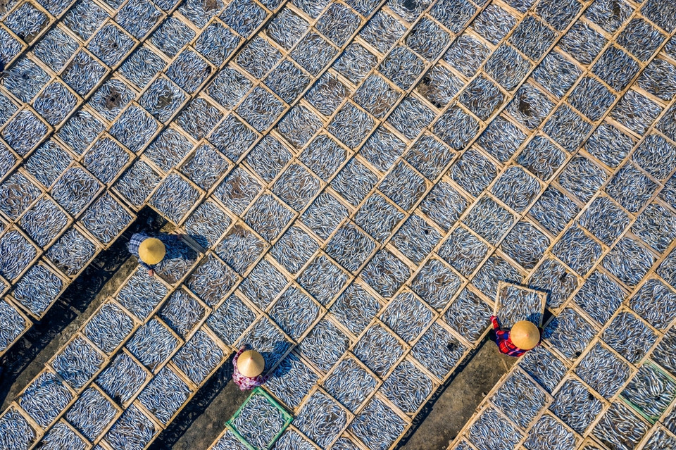 La obra “Secado de pescado al vapor” tomada por Nguyen Tan Tuan en la provincia sureña de Ba Ria- Vung Tau muestra cómo este método ayuda a las personas a conservar el pescado durante mucho tiempo, siendo también la forma más antigua de conservación de los mariscos usada por el ser humano. (Fuente: vnexpress.net)
