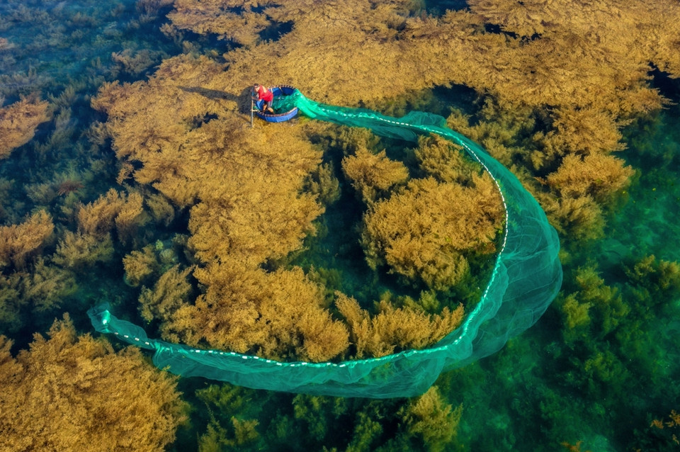 La obra “Los pescadores arrojan redes en el mar de Nhon Hai, provincia de Binh Dinh, en el centro de Vietnam” del fotógrafo Nguyen Phuoc Hoai. (Fuente: vnexpress.net)