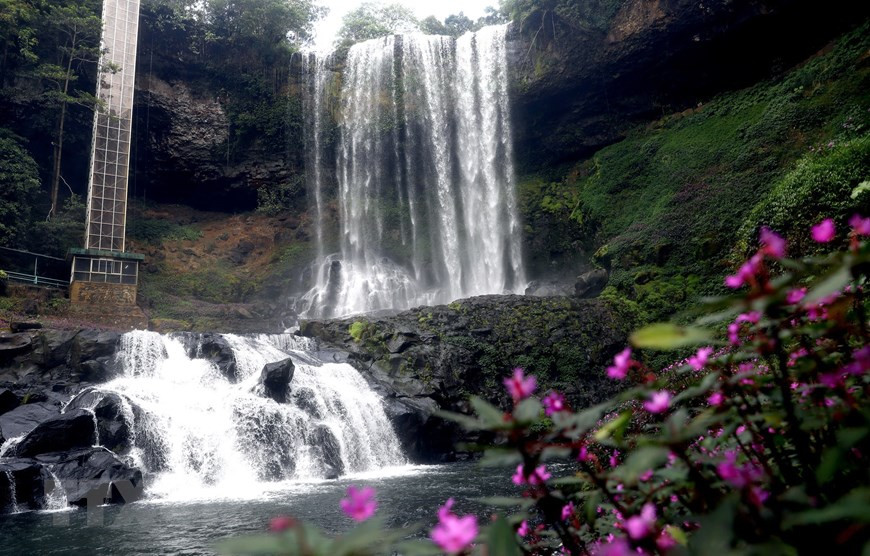 Las flores adornan durante todo el año la belleza de Dambri. (Foto: VNA).