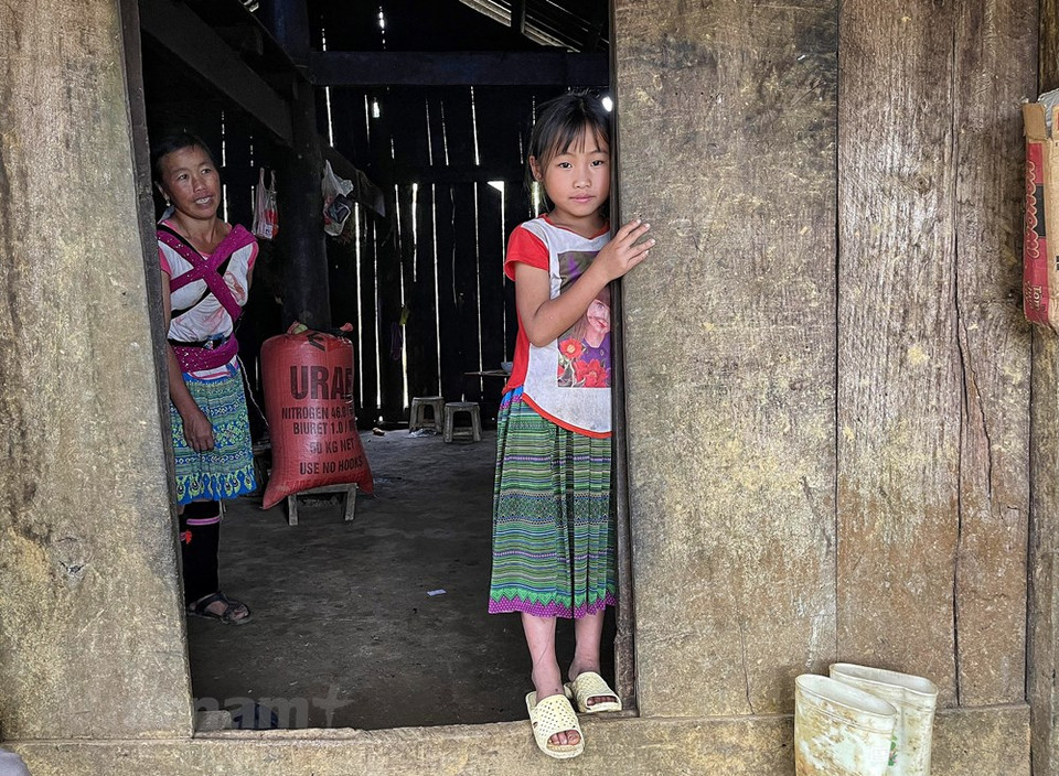 La diversidad y las características culturales de las minorías étnicas locales también dejan una impresión duradera en los visitantes. Además de disfrutar del hermoso paisaje natural, pueden sumergirse en el festival de primavera de la minoría étnica Lu en la aldea de Tham, de la provincia de Lai Chau. Asimismo, al llegar al mercado de Y Ty, los visitantes tendrán la oportunidad de explorar la cultura única de la gente local de Ha Nhi, uno de los 54 grupos étnicos de Vietnam. Esa comunidad tiene una población de aproximadamente 22 mil habitantes en el país. Además de cultivar arroz en campos en terrazas para el autoconsumo, los residentes locales también cultivan algodón y tejen telas para confeccionar sus trajes tradicionales. (Fuente:Vietnam+)