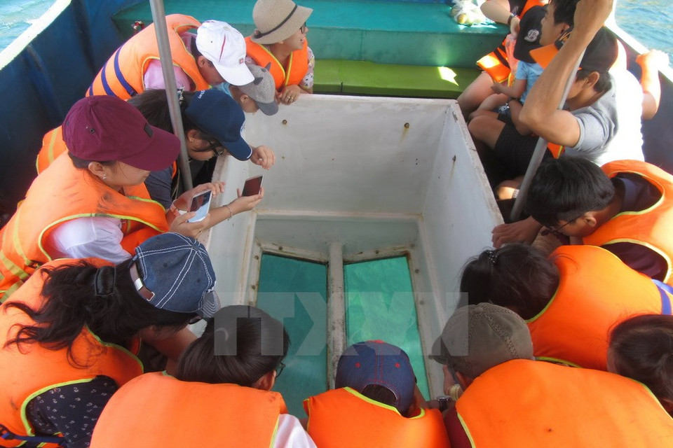Turistas contemplan el fondo del mar a través de un vidrio puesto en el barco (Fuente: VNA)