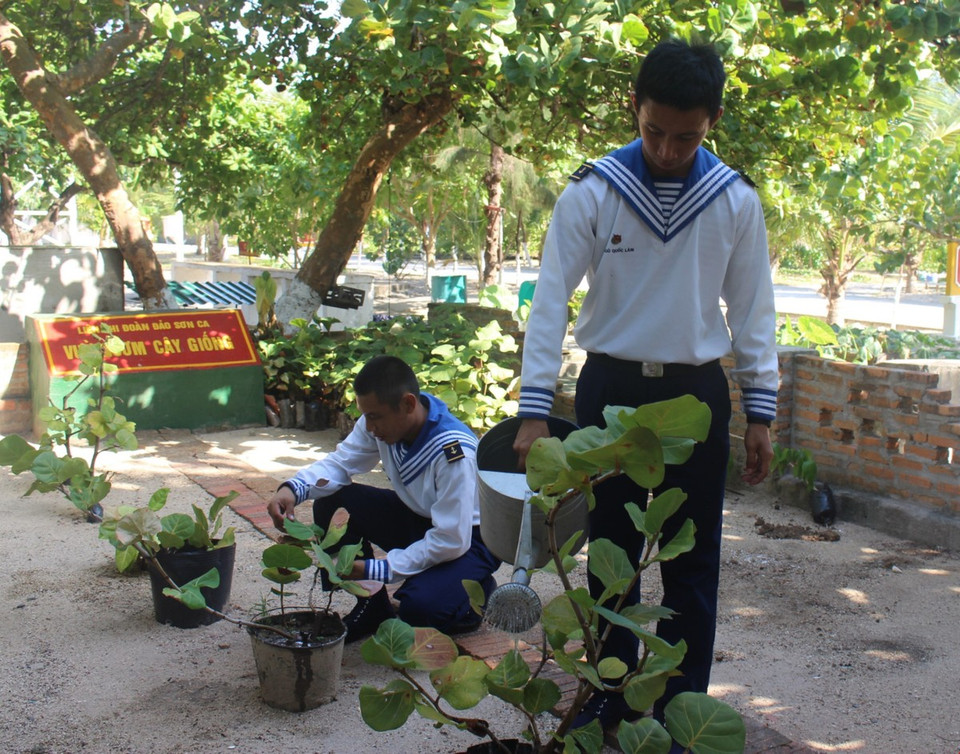 Además del aprendizaje y entrenamiento, los soldados participan en programas de plantación de árboles en la isla (Foto: VNA)