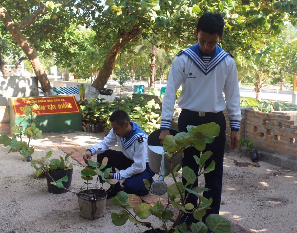 Además del aprendizaje y entrenamiento, los soldados participan en programas de plantación de árboles en la isla (Foto: VNA)