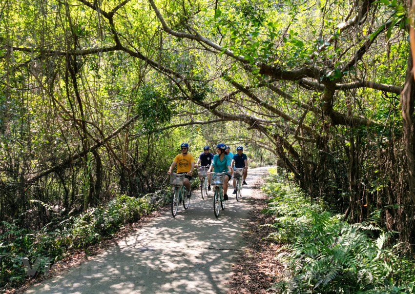 Pedalear por el dosel del bosque para explorar el antiguo pueblo de Viet Hai, distrito de Cat Hai. (Foto: Vietnam+)