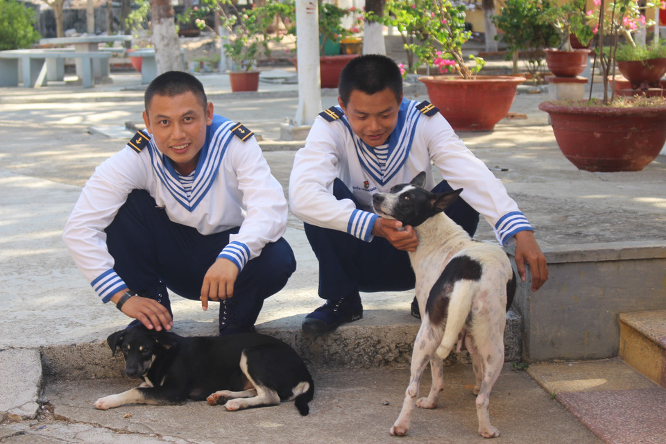 Momentos de descanso de los soldados en la isla de Son Ca, archipiélago de Truong Sa, con sus mascotas (Foto: VNA)