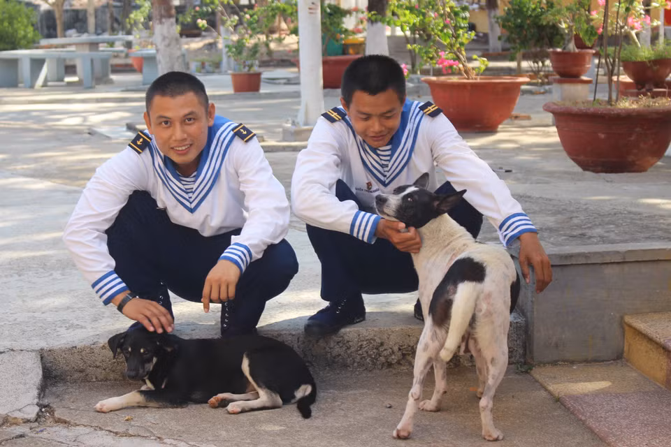 Momentos de descanso de los soldados en la isla de Son Ca, archipiélago de Truong Sa, con sus mascotas (Foto: VNA)