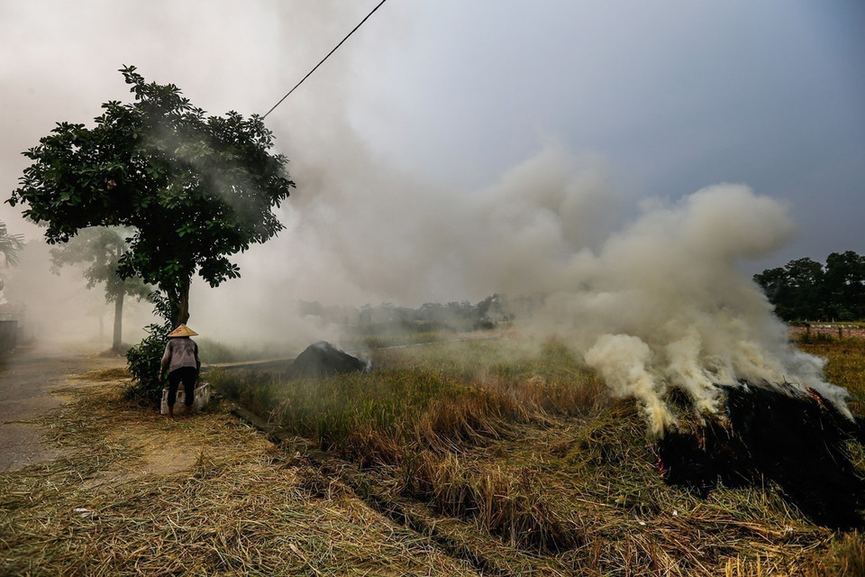 La contaminación ambiental por la quema de paja es extremadamente grave. En la foto: Contaminación del aire en Hanoi ha aumentado debido a muchos factores como las emisiones industriales, quemas de la paja de arroz, gases de escape de los vehículos, construcción y uso doméstico de carbón para cocinar (Foto: VNA)