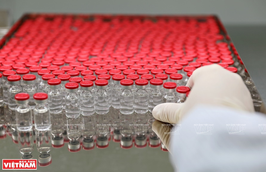 La etapa de escaneo para detectar cuerpos extraños o impurezas se realiza de forma manual, con la participación de casi 10 personas en este paso (Fuente: VNA)