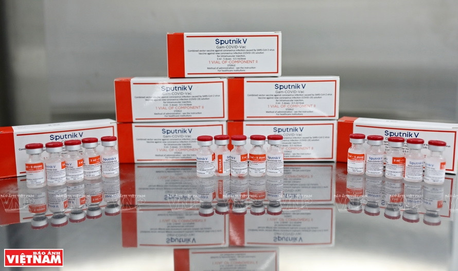 El conjunto final de vacunas Sputnik V (Fuente: VNA)