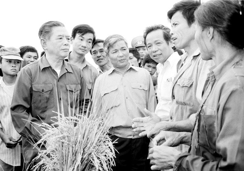 El secretario general del Partido, Nguyen Van Linh, visitó a los agricultores de la cooperativa Tung Phong, en la comuna de Tung Anh, distrito de Duc Tho de la provincia de Nghe Tinh (del 23 al 27 de mayo de 1990). (Foto: VNA)