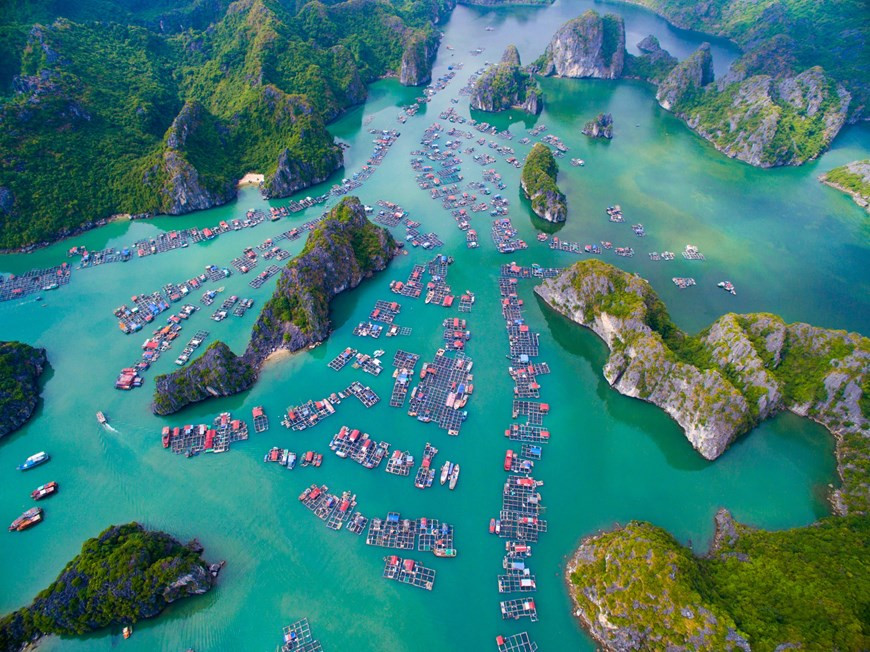 La bahía de Lan Ha es una tranquila rada en forma de arco con unas 400 islas de distintas formas y tamaños. (Foto: Vietnam+)