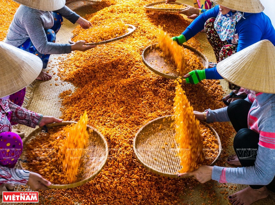Procesamiento de camarones secos. (Foto: VNA)