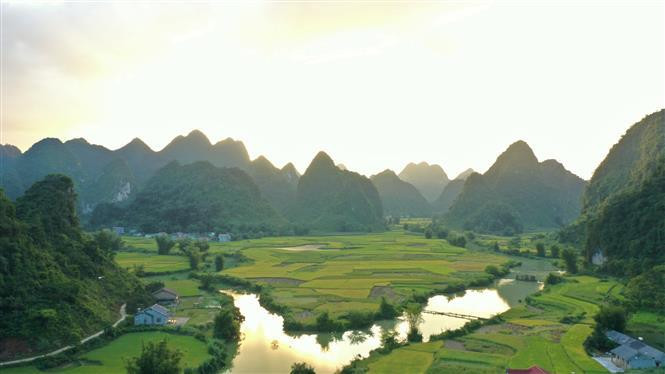 Temporada de cosecha de arroz en la comuna de Ngoc Con, distrito de Trung Khanh, provincia de Cao Bang (Foto: VNA) 