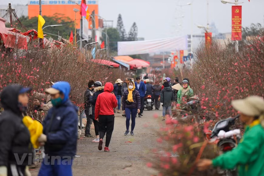 El mercado de flores Quang An figuró entre los 13 sitios ideales para celebrar el Año Nuevo Lunar, seleccionados por el canal televisivo estadounidense CNN. Conocido como Tet en Vietnam, el Año Nuevo Lunar es la fiesta más importante en el país. De acuerdo con CNN, las flores constituyen una parte esencial del Tet en Vietnam, y por eso una atmósfera frenética predominó en el mercado Quang An durante la fiesta. “Los clientes buscaban las flores más hermosas (frecuentemente el melocotón o la ochna integerrima) en medio del zumbido de las motocicletas que circulaban por todos los lugares, transportando coloridos racimos de flores en el asiento trasero”, escribió CNN (Foto: Vietnamplus)