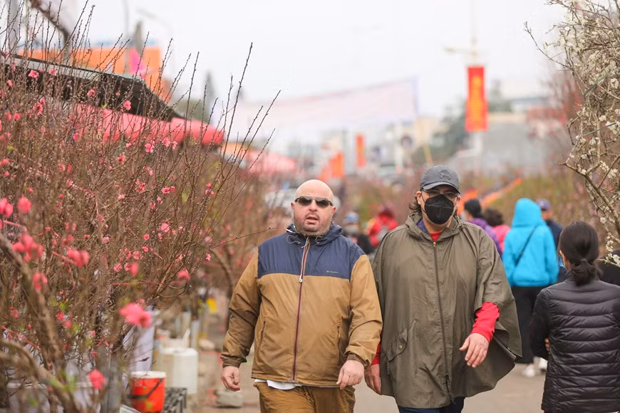 El mercado de Quang An también distribuye flores populares como azucena, rosa, orquídea, gladiolo, crisantemo con motivo de Tet. Este año, el gobierno ha prohibido oficialmente la venta de melocotoneros silvestres, por lo que su cantidad de melocotones silvestres en este mercado es mucho menor. En cambio, muchos comerciantes han optado por vender flores de albaricoque y de ciruela. El precio de una rama pequeña de melocotón se vende de 80 mil a 100 mil dongs, mientras una rama promedia se vendes de 250 mil a 300 mil dongs, y para las ramas grandes, será de dos a cuatro millones de dongs (85 a 170 dólares) (Foto: Vietnamplus)