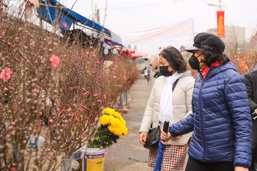 Ante la complicada situación del COVID-19 a inicios del año, los compradores tuvieron cierta reticencia a los productos de alta valor. Cada cliente tendió a considerar cuidadosamente y solo comprar una variedad de flores a un costo razonable. La pandemia de COVID-19 no solo ha afectado a los compradores, sino también a los floricultores y los importadores de flores. Todos los cultivadores trataron de mantener las operaciones para ofrecer productos de calidad al mercado. Sin embargo, la pandemia provocó que la clientela ahorre sus gastos, por lo cual en general, los kioscos siguieron recibiendo a una gran cantidad de visitantes, pero los ingresos disminuían (Foto: Vietnamplus)