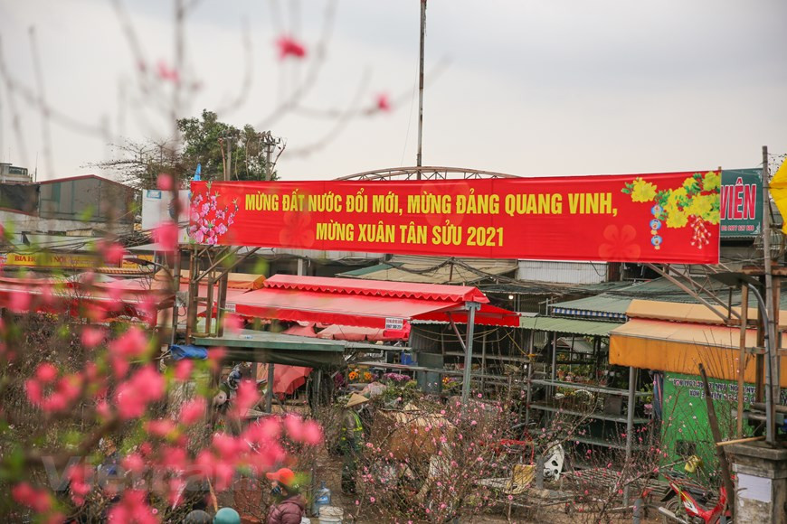 De aquellos que aman las flores o tienen trabajos relacionados con las flores en Hanoi y áreas circundantes tal vez nadie no conoce este lugar: el mercado Quang An. Pocas recuerdan cuándo y cómo apareció el mercado de flores de Quang An - Quang Ba. La gente solo sabe que al principio, era simplemente un pequeño mercado ubicado en el lado del dique Nghi Tam, en el barrio de Quang An, distrito de Tay Ho, en Hanoi. El mercado fue creado para que los floricultores de las áreas alrededores comercializaran flores y plantas ornamentales que cultivaban, porque Nhat Tan, Quang An y Quang Ba son lugares afamados por la producción tradicional de flores de melocotón y kumquat en Hanoi (Foto: Vietnamplus)