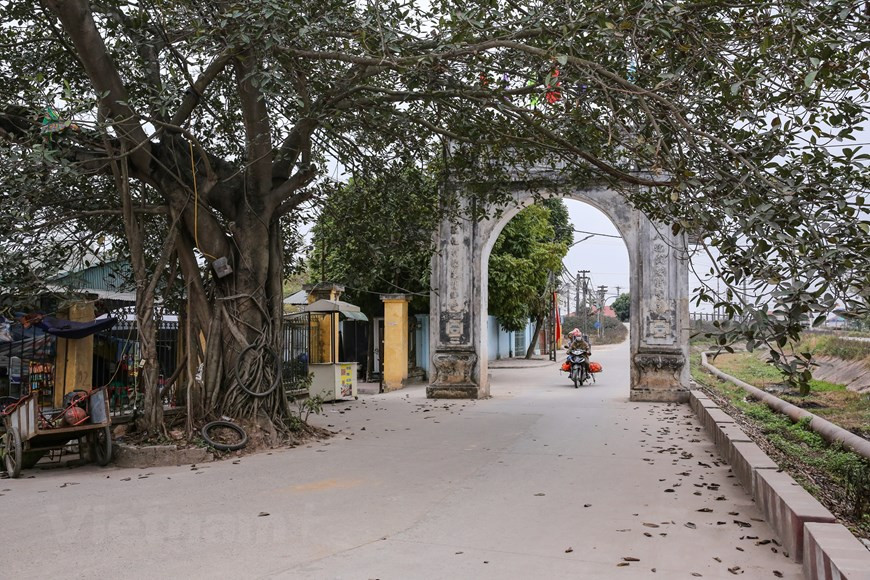 La puerta a la aldea de Tranh Khuc (distrito suburbano de Thanh Tri, en Hanoi) donde los pobladores están ocupados en la elaboración de “Banh chung”, un manjar imprescindible en la celebración del Año Nuevo Lunar (Tet) para abastecerlo en el mercado. Nadie sabe exactamente cuándo apareció la aldea de elaboración de Banh chung de Tranh Khuc, pero el oficio se ha conservado y desarrollado durante generaciones hasta hoy. En la aldea de Tranh Khuc, casi todos los hogares elaboran este pastel elaborado con arroz glutinoso, frijol verde y carne de cerdo cubierto por hojas verdes, durante todo el año para generar ingreso y preservar el oficio tradicional (Foto: Vietnamplus)