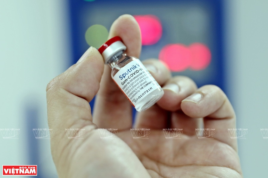 Después de completar la etapa final, los viales de vacuna están a punto de ser puesto en congelación (Fuente: VNA)