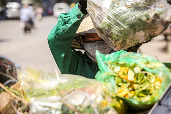 Un trabajador de saneamiento ambiental (Fuente: VNA) 