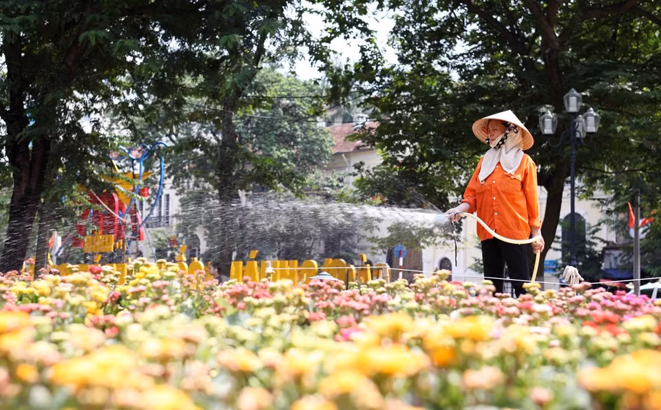 Lago Hoan Kiem, “corazón de Hanoi” se embellece con flores (Fuente: VNA)
