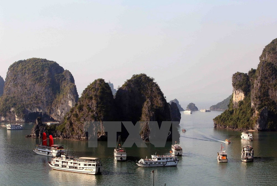 La bahía de Ha Long encierra una superficie de 1553 kilómetros cuadrados e incluye 1969 islotes de diferentes tamaños (Fuente: VNA)