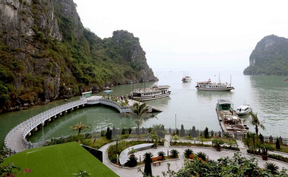 Camino que conduce a la cueva Thien Cung (Fuente: VNA)