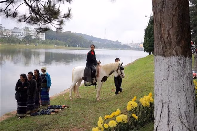 Algunos trajes tradicionales de Vietnam presentados en el festival (Fuente: VNA)