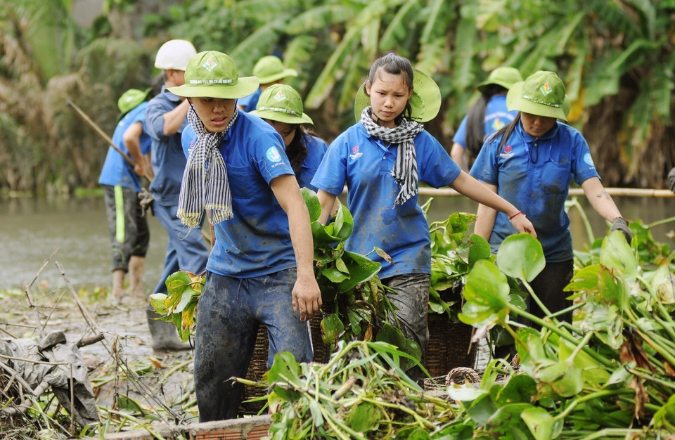 Jóvenes y estudiantes voluntarios participan en la tarea de recolectar jacintos de agua para facilitar la circulación del flujo hídrico en el canal Ong Tong, distrito de Go Vap, Ciudad Ho Chi Minh. (Fuente:VNA)