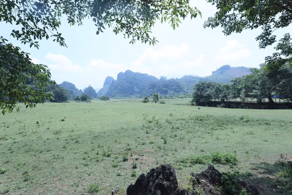 La estepa de Dong Lam es como una alfombra verde de la naturaleza al pie de las montañas de piedra caliza. (Fuente: VNA)