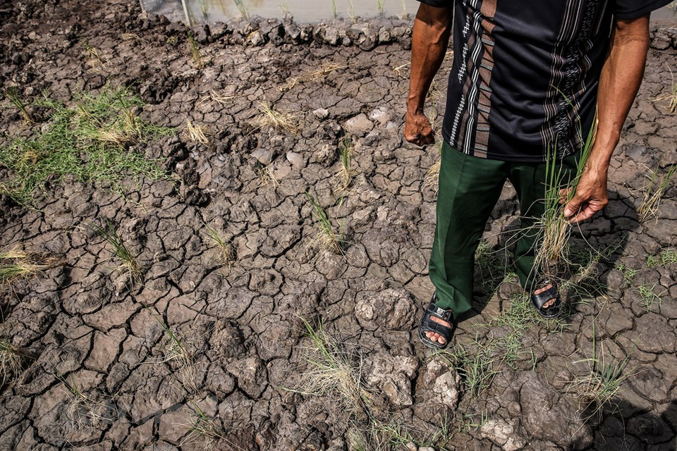 Especialmente, para las zonas montañosas del norte y la costa central, es necesario garantizar el alojamiento seguro para la gente, y fortalecer la gestión y el control, evitando que las personas construyan casas invadiendo los cauces de los ríos, arroyos, y las áreas de peligro de desastres naturales, en aras de reducir el riesgo de deslizamientos de tierra e inundaciones repentinas. Para las regiones del Delta del Norte y Norte Central, se debe garantizar la seguridad de los diques y embalses. Mientras, para los litorales del norte y centro, es necesario mejorar la capacidad para hacer frente a las fuertes inundaciones, tormentas, tifones, y erosión costera (Fuente: Vietnam+)
