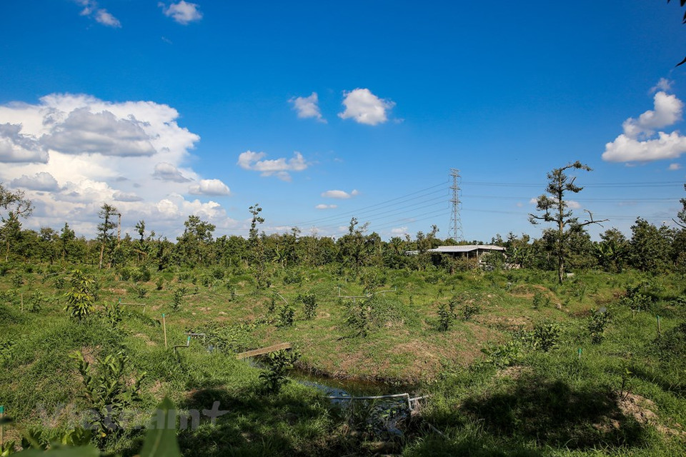 El primer ministro de Vietnam, Nguyen Xuan Phuc, instó a los presidentes de los comités populares de las provincias y ciudades, especialmente en la región del delta del río Mekong, a implementar activamente las medidas de respuesta adecuadas frente a la intrusión salina y la escasez de agua potable en esa zona del país. Tal instrucción la realizó el jefe del gobierno en el contexto complicado de la intrusión salina en el delta del río Mekong, urgiendo también a las localidades a monitorear de cerca el desarrollo y los pronósticos hidrometeorológicos para desplegar las medidas específicas encaminadas a priorizar el suministro de agua potable para los pobladores (Fuente: Vietnam+)