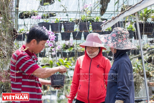 Van Si enseña técnicas a sus empleadas (Fuente: VNA) 