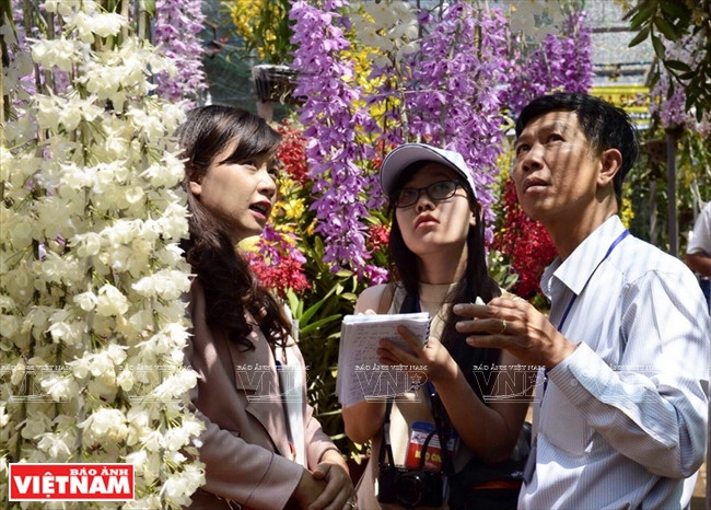 Turistas en el jardín (Fuente: VNA) 