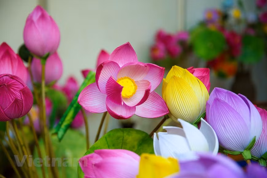 Actualmente, hay alrededor de 10 familias en el pueblo que aún conservan las técnicas tradicionales de hacer flores de papel a mano. Para elaborar una flor, todas las etapas se realizan manualmente. Los creadores tienen que dedicar mucho tiempo y necesitan de gran meticulosidad y manos hábiles para producir una flor. Todos los detalles están hábilmente preparados por artesanos. El bambú se parte, se seca, se tiñe con papel y luego se convierte en plantas de flores completas. Las flores se plantarán en un tallo. Cada tallo tendrá 100 flores y el vendedor llevará el ramo de flores al hombro para caminar por las calles y mercados. (Foto: Vietnam+)