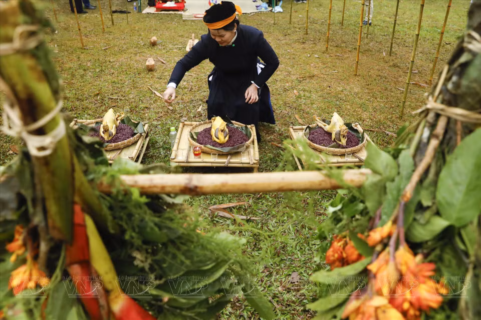 Las ofrendas a Nang Hai fueron preparadas con mucho cuidado. (Foto: Revista Ilustrada Vietnam)