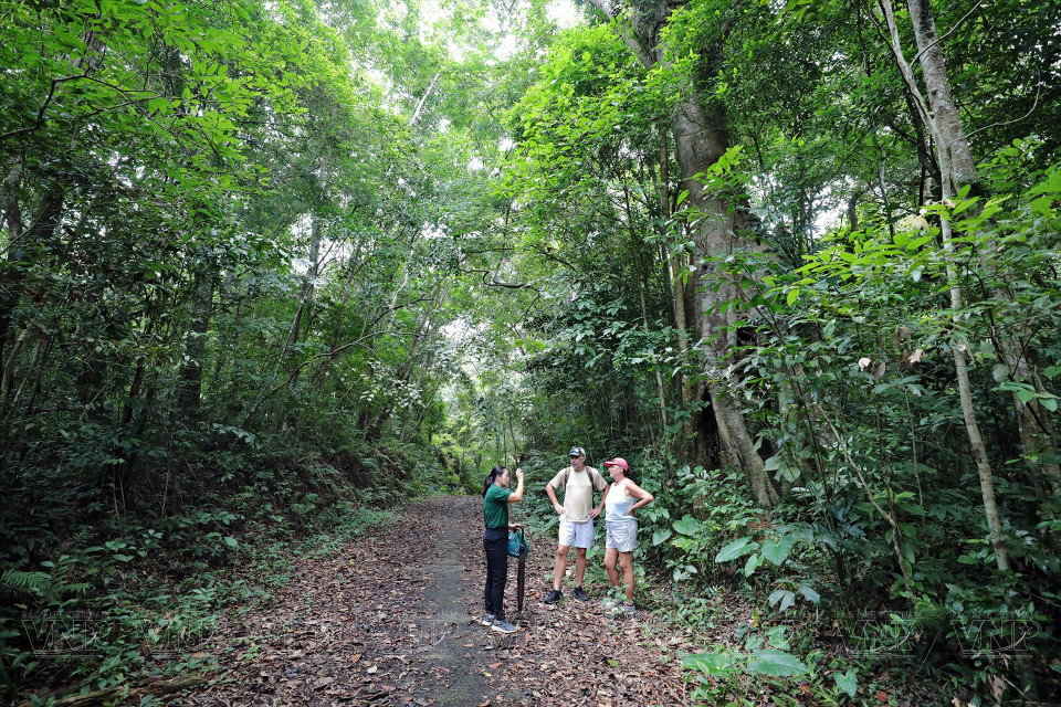 En el recorrido habrá un guía turístico que introduce información a los visitantes.